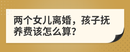 两个女儿离婚，孩子抚养费该怎么算？