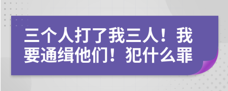 三个人打了我三人！我要通缉他们！犯什么罪