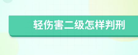 轻伤害二级怎样判刑