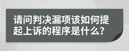 请问判决漏项该如何提起上诉的程序是什么？