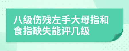 八级伤残左手大母指和食指缺失能评几级