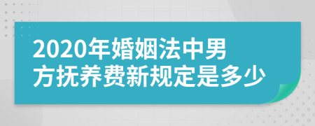 2020年婚姻法中男方抚养费新规定是多少