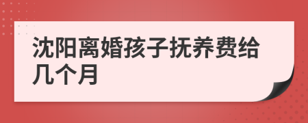 沈阳离婚孩子抚养费给几个月