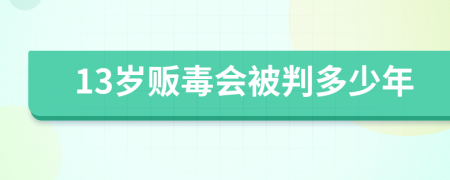 13岁贩毒会被判多少年