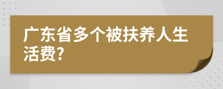 广东省多个被扶养人生活费?