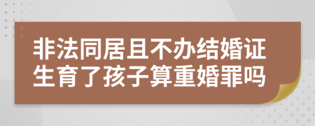 非法同居且不办结婚证生育了孩子算重婚罪吗