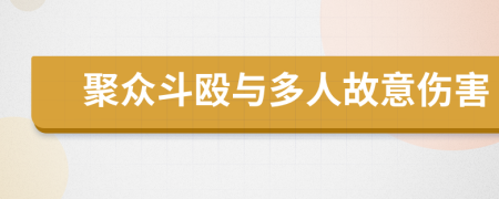 聚众斗殴与多人故意伤害