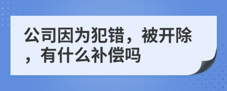 公司因为犯错，被开除，有什么补偿吗