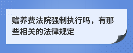 赡养费法院强制执行吗，有那些相关的法律规定