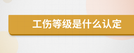 工伤等级是什么认定