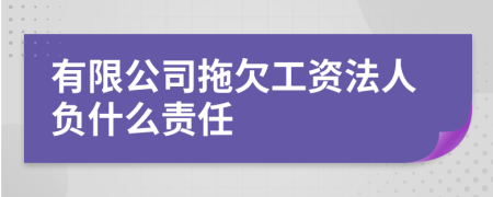 有限公司拖欠工资法人负什么责任