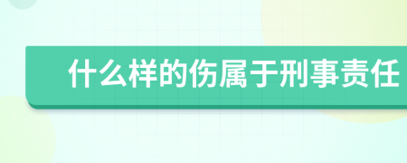 什么样的伤属于刑事责任