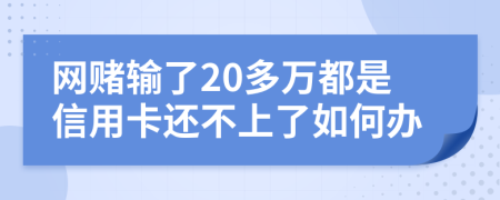 网赌输了20多万都是信用卡还不上了如何办