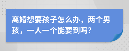 离婚想要孩子怎么办，两个男孩，一人一个能要到吗?