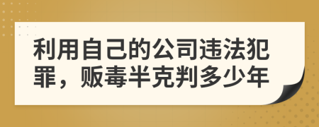 利用自己的公司违法犯罪，贩毒半克判多少年