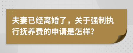 夫妻已经离婚了，关于强制执行抚养费的申请是怎样？