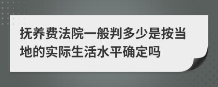 抚养费法院一般判多少是按当地的实际生活水平确定吗