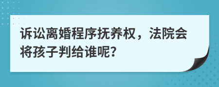诉讼离婚程序抚养权，法院会将孩子判给谁呢？