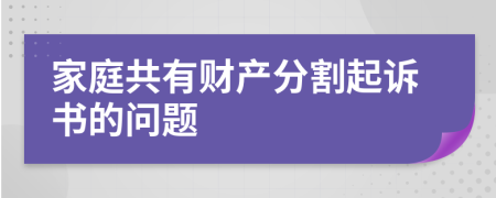 家庭共有财产分割起诉书的问题