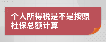 个人所得税是不是按照社保总额计算