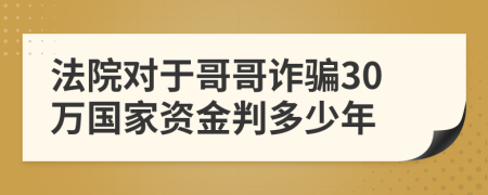 法院对于哥哥诈骗30万国家资金判多少年