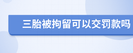 三胎被拘留可以交罚款吗