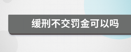 缓刑不交罚金可以吗