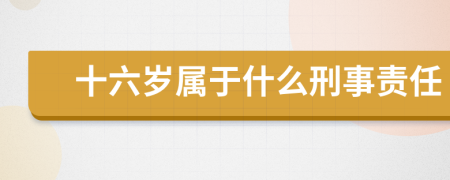 十六岁属于什么刑事责任