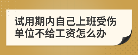 试用期内自己上班受伤单位不给工资怎么办