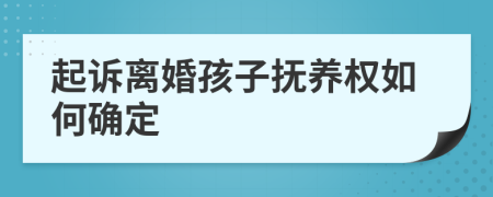 起诉离婚孩子抚养权如何确定