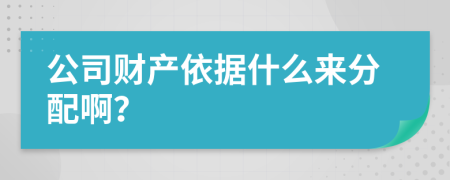 公司财产依据什么来分配啊？