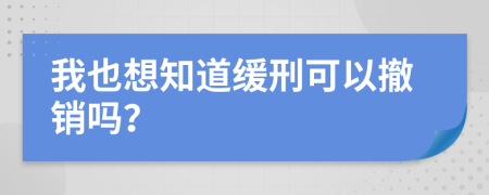 我也想知道缓刑可以撤销吗？