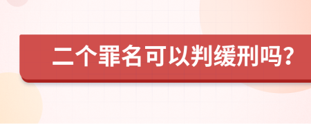 二个罪名可以判缓刑吗？