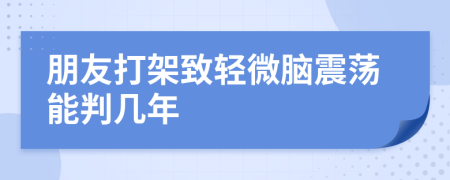 朋友打架致轻微脑震荡能判几年