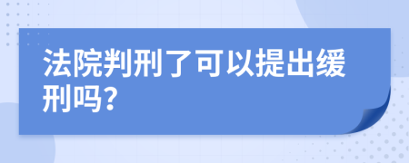 法院判刑了可以提出缓刑吗？