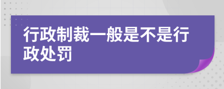 行政制裁一般是不是行政处罚