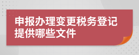 申报办理变更税务登记提供哪些文件