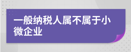 一般纳税人属不属于小微企业