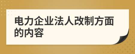 电力企业法人改制方面的内容