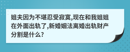 姐夫因为不堪忍受寂寞,现在和我姐姐在外面出轨了,新婚姻法离婚出轨财产分割是什么?