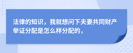 法律的知识，我就想问下夫妻共同财产举证分配是怎么样分配的，