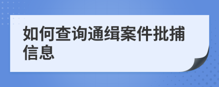 如何查询通缉案件批捕信息