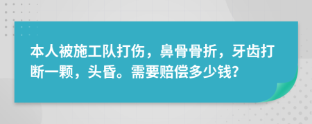 本人被施工队打伤，鼻骨骨折，牙齿打断一颗，头昏。需要赔偿多少钱？