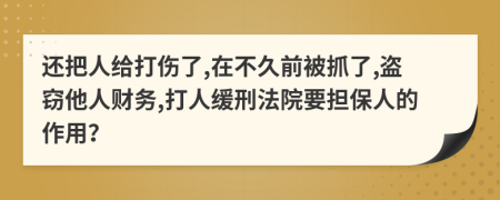 还把人给打伤了,在不久前被抓了,盗窃他人财务,打人缓刑法院要担保人的作用？