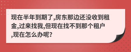 现在半年到期了,房东那边还没收到租金,过来找我,但现在找不到那个租户,现在怎么办呢？