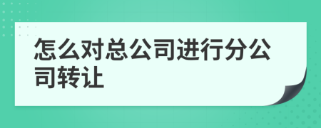 怎么对总公司进行分公司转让