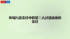 环境污染责任中的第三人过错由谁的责任