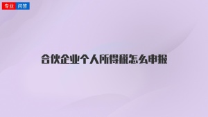 合伙企业个人所得税怎么申报