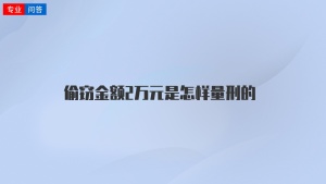 偷窃金额2万元是怎样量刑的