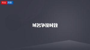 域名争议时效